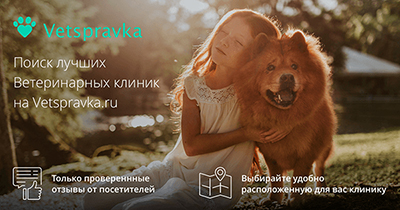 https://vetspravka.ru https://vetspravka.ru