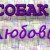 Стрижка собак и кошек