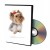 Видео уроки по обучению стрижке собак на DVD