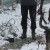 Качественные щенки далматина