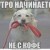 Дрессировка различных пород собак в Зеленограде