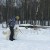 Дрессировка с проживанием
