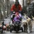 Выгул щенков в Подмосковье
