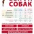 Выгул собак в Москве