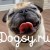 ИЩЕМ ДОГСИТТЕРОВ(НЯНЯ СОБАК)В СЕРВИС DOGSY.RU