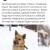 Собачка Герда ласковая