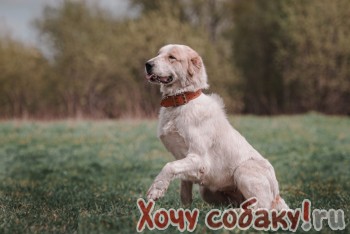  -     . 
