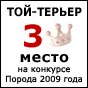 Порода «Той-терьер» заняла 3-е место на конкурсе «Порода 2009 года» по мнению читателей интернет издания ХочуСобаку.ру