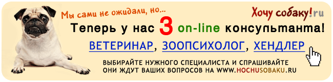 http://www.hochusobaku.ru/img/3speca.gif