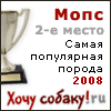 Порода Мопс заняла 2-е место на конкурсе «Самая популярная порода 2008 года»