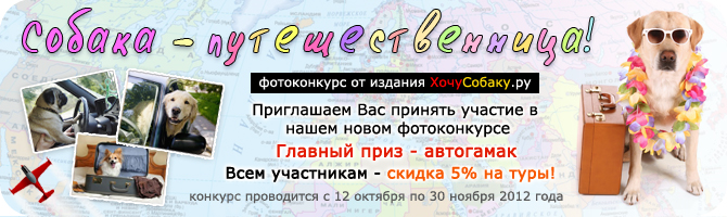 http://www.hochusobaku.ru/img/konkurs_10.jpg