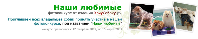 http://www.hochusobaku.ru/img/konkurs_2.jpg