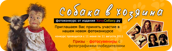 http://www.hochusobaku.ru/img/konkurs_7.jpg