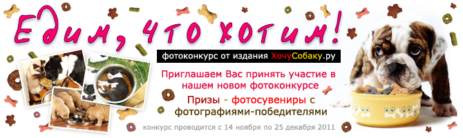 http://www.hochusobaku.ru/img/konkurs_8.jpg