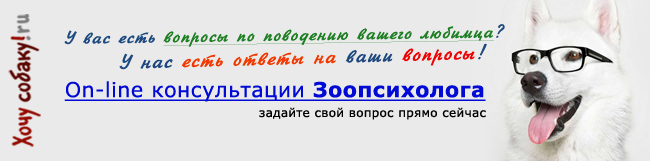 http://www.hochusobaku.ru/img/zoopsicholog.jpg