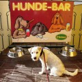 Белка кушает в заграничном собачьем баре!
