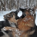 , !!! 
   , .... ,      , !!!)))