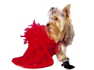 Красное платье для собаки