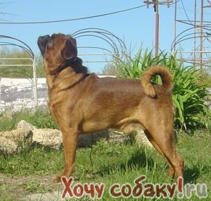 Санатории по лечению болезней обмена веществ