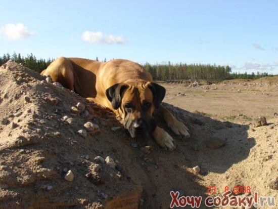 Шлюхи в ростове на дону Шлюхи в ростове на дону
